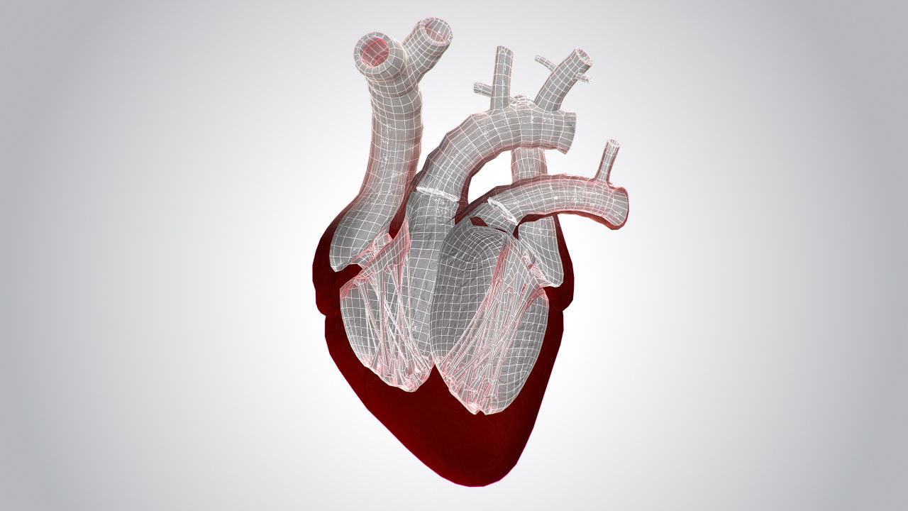 Heart Covered In Blood Rigged Animated PBR Low-poly 3D model_14