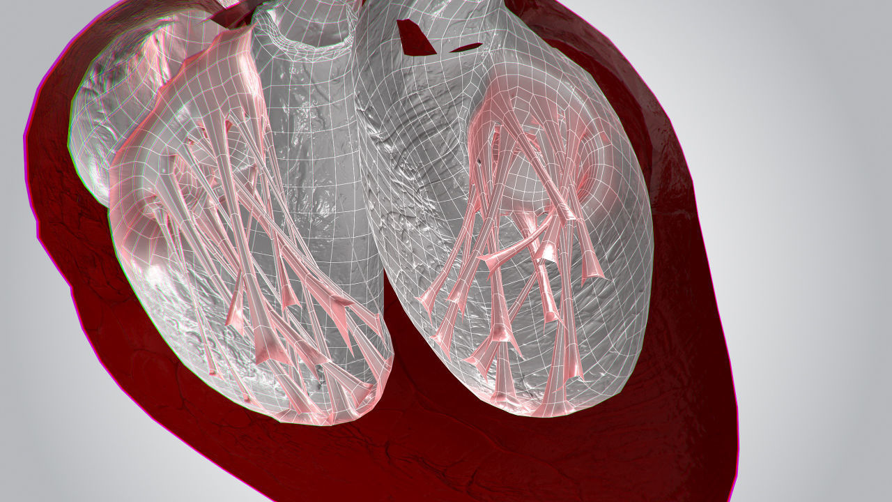 Heart Covered In Blood Rigged Animated PBR Low-poly 3D model_15