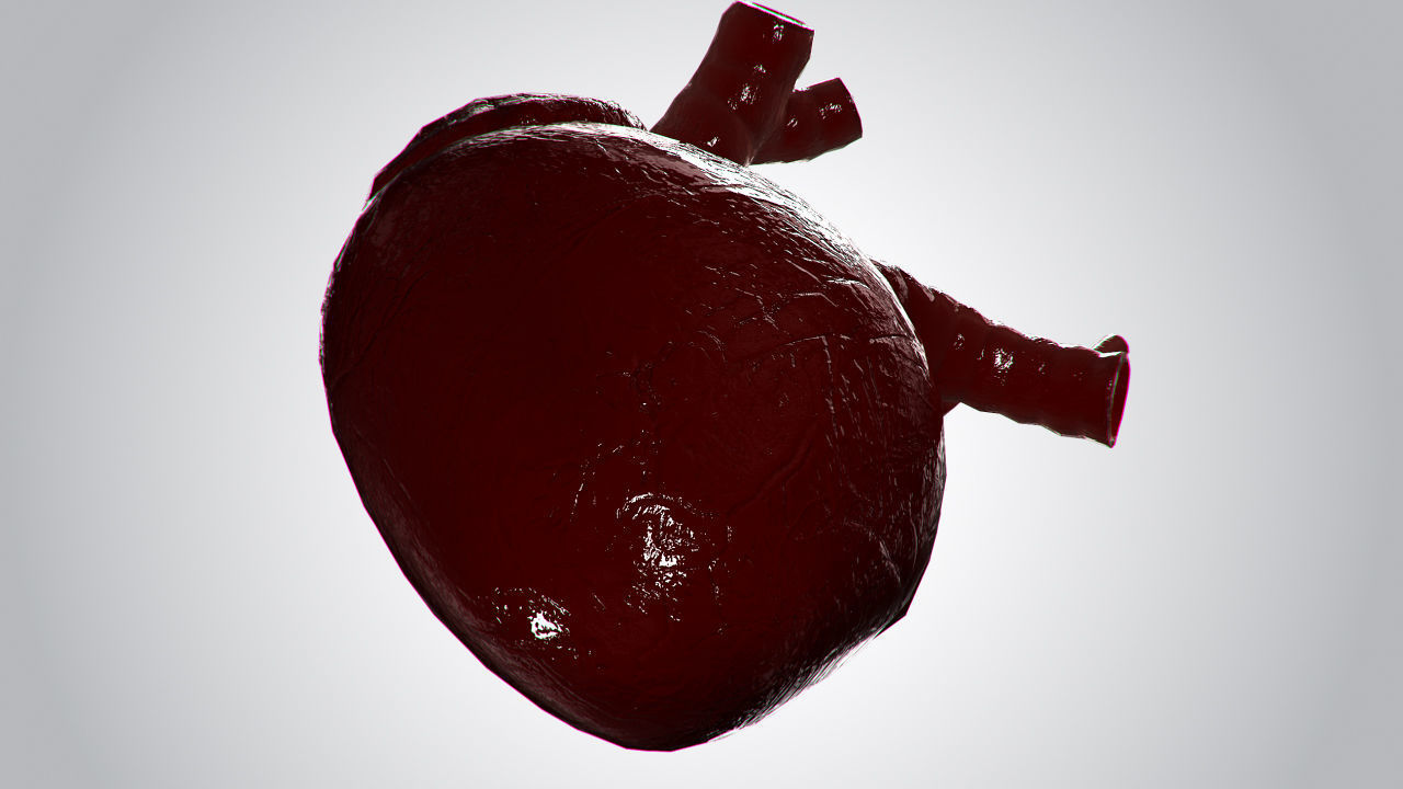 Heart Covered In Blood Rigged Animated PBR Low-poly 3D model_7