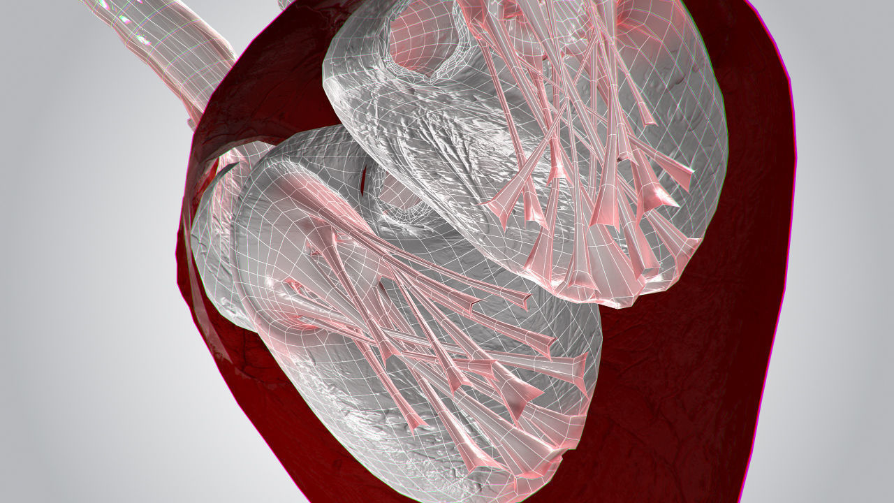 Heart Covered In Blood Rigged Animated PBR Low-poly 3D model_16