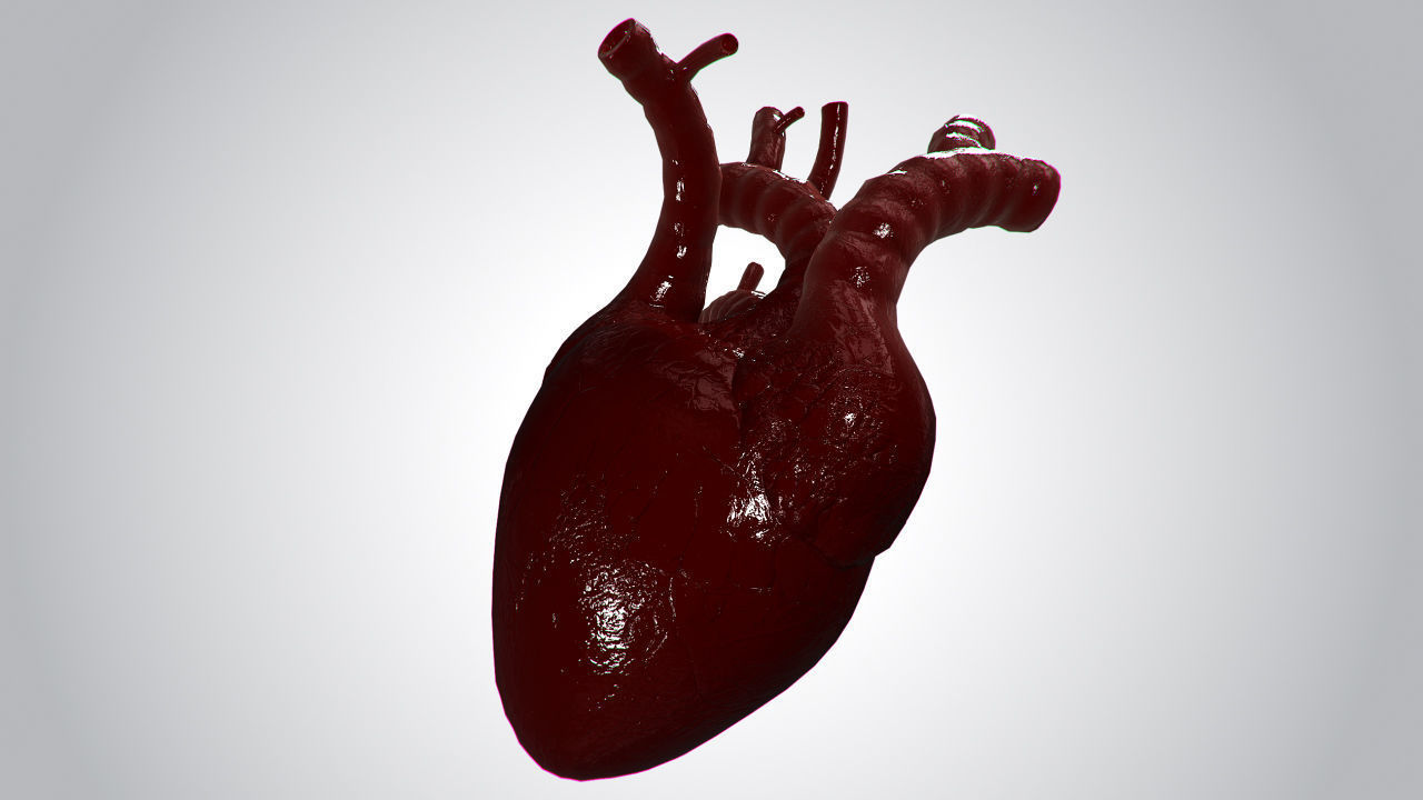 Heart Covered In Blood Rigged Animated PBR Low-poly 3D model_2