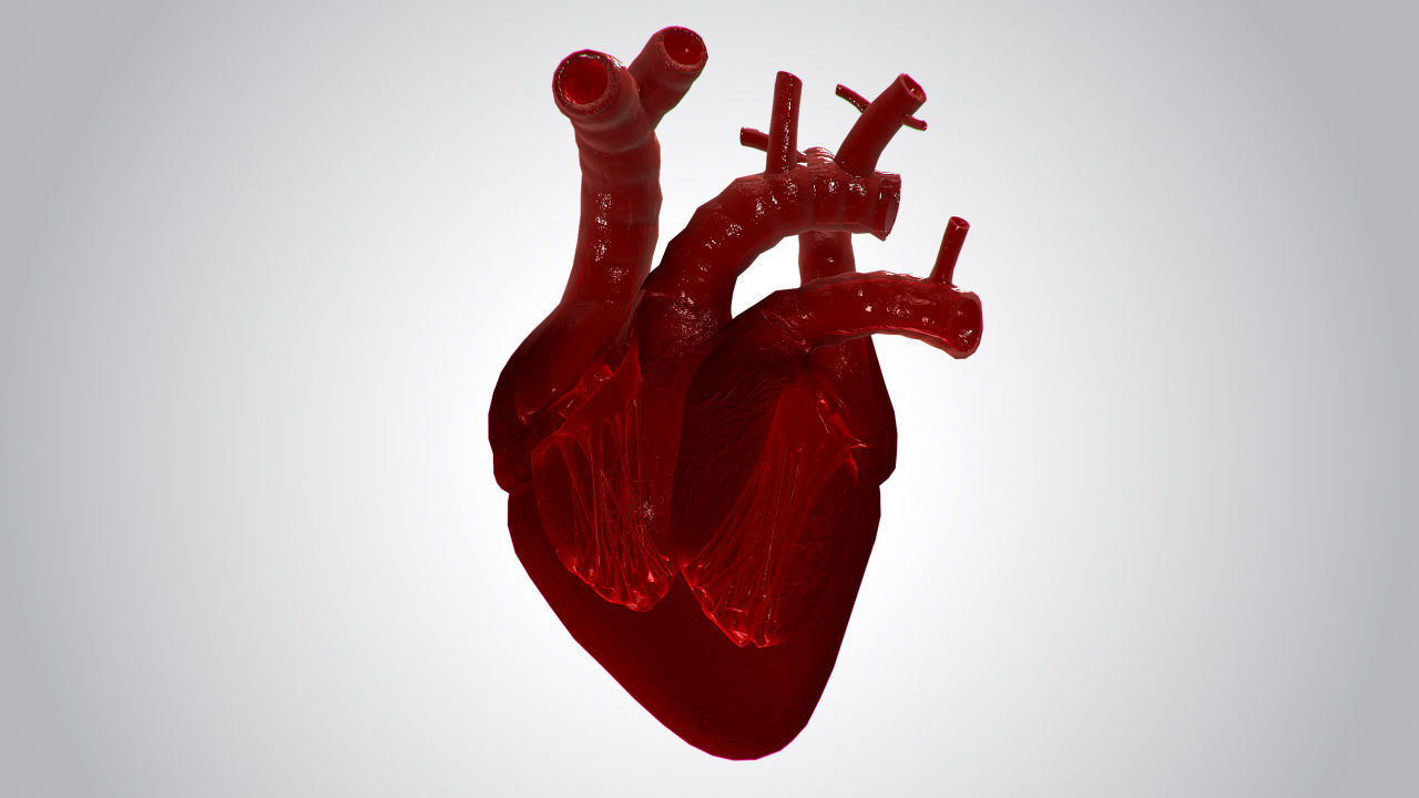 Heart Covered In Blood Rigged Animated PBR Low-poly 3D model_8