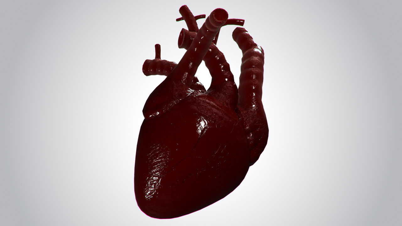 Heart Covered In Blood Rigged Animated PBR Low-poly 3D model_3