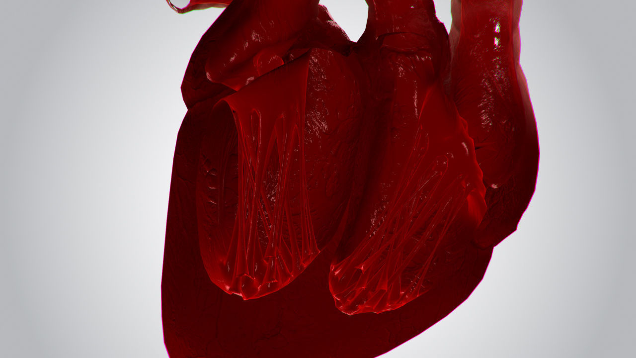 Heart Covered In Blood Rigged Animated PBR Low-poly 3D model_11