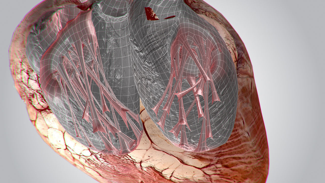 Heart Grungy Rigged Animated PBR Low-poly 3D model_16