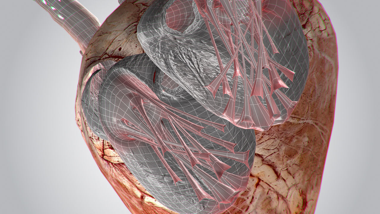 Heart Grungy Rigged Animated PBR Low-poly 3D model_20