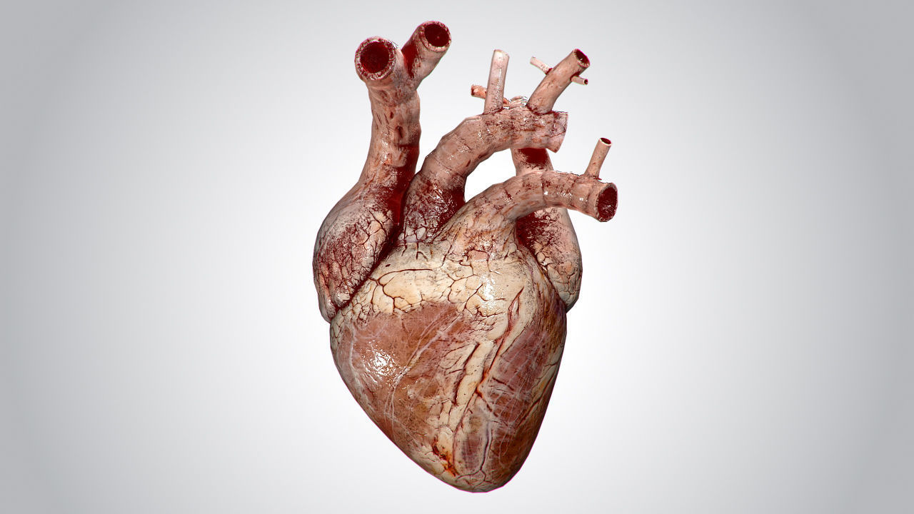 Heart Grungy Rigged Animated PBR Low-poly 3D model_5
