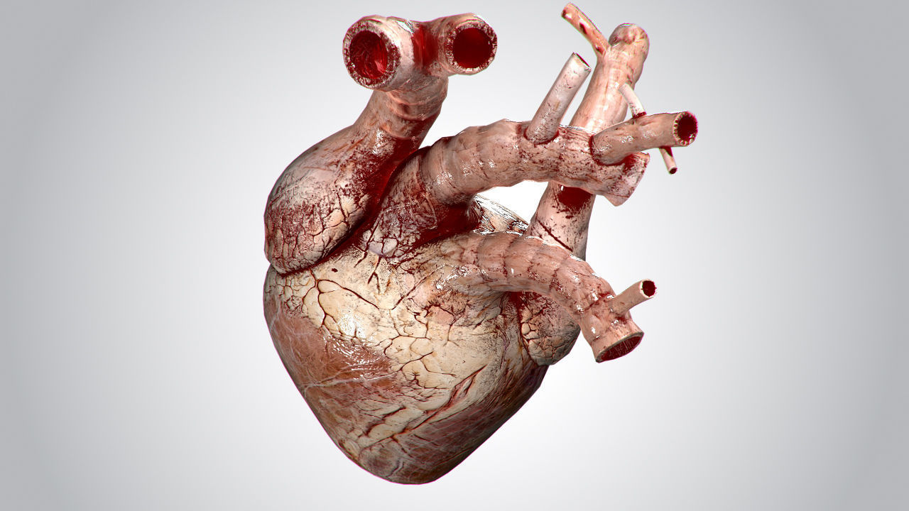 Heart Grungy Rigged Animated PBR Low-poly 3D model_2