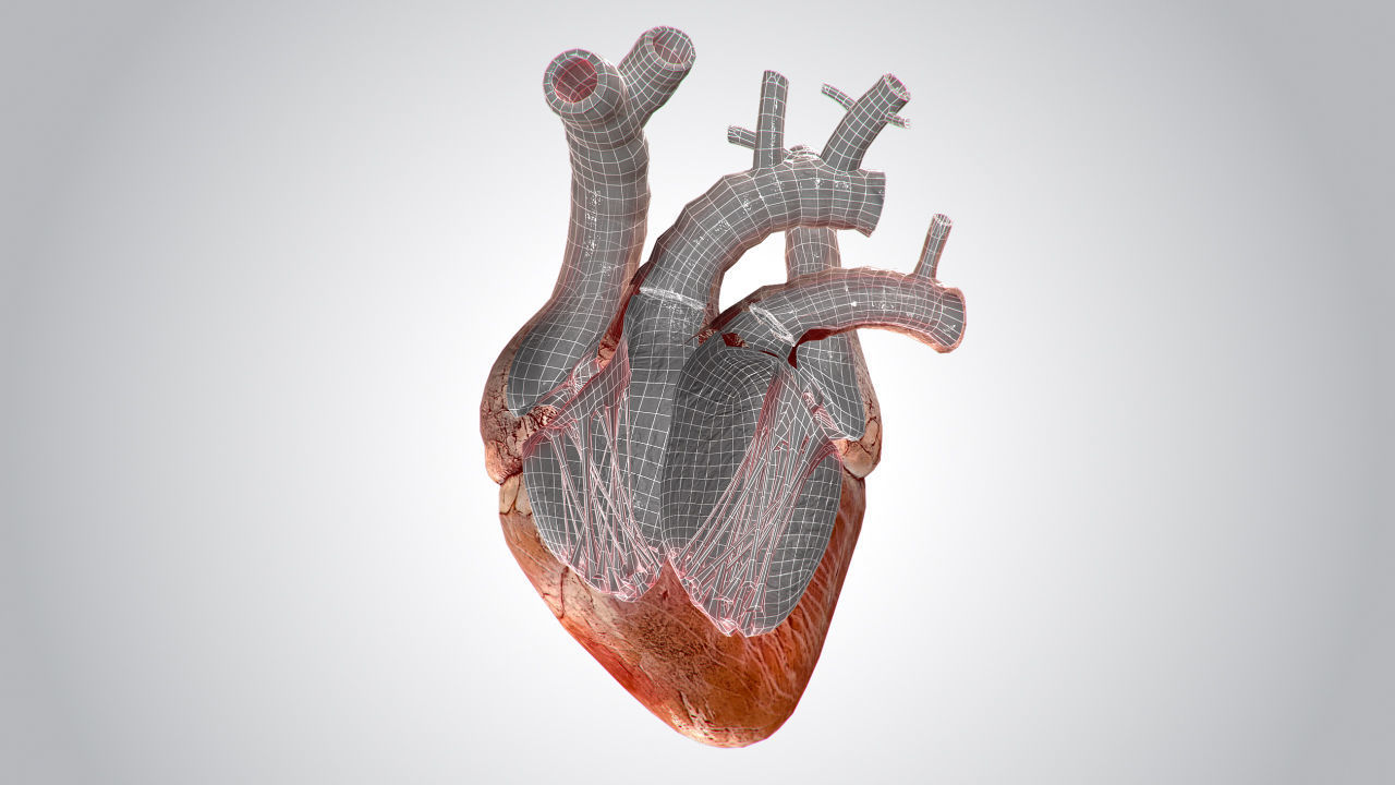 Heart Grungy Rigged Animated PBR Low-poly 3D model_15