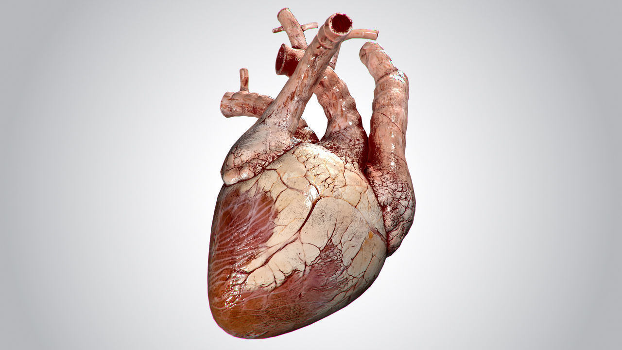Heart Grungy Rigged Animated PBR Low-poly 3D model_8