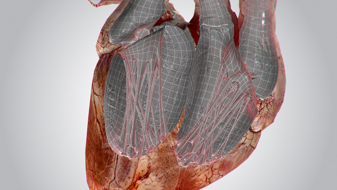 Heart Grungy Rigged Animated PBR Low-poly 3D model_17