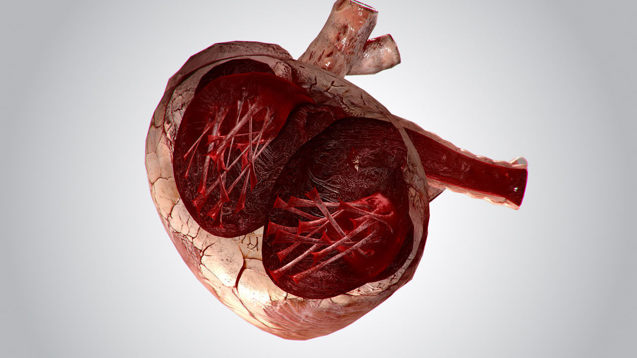 Heart Grungy Rigged Animated PBR Low-poly 3D model_13