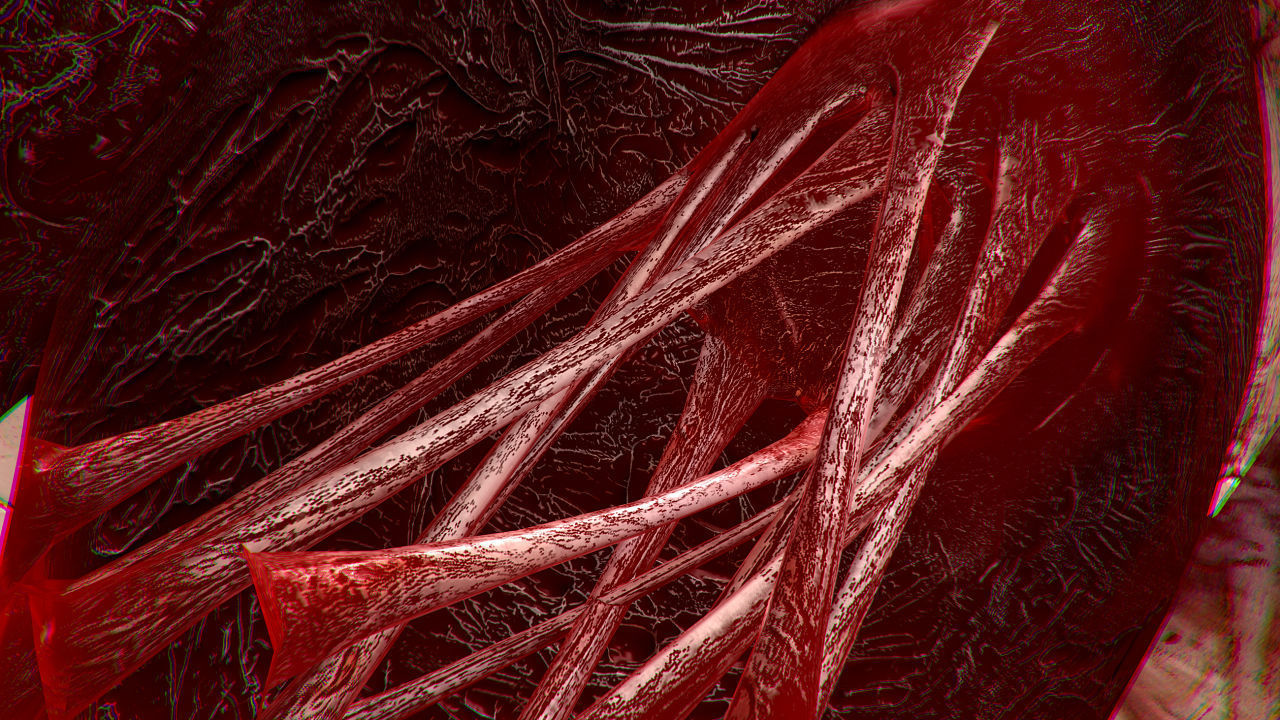 Heart Grungy Rigged Animated PBR Low-poly 3D model_14