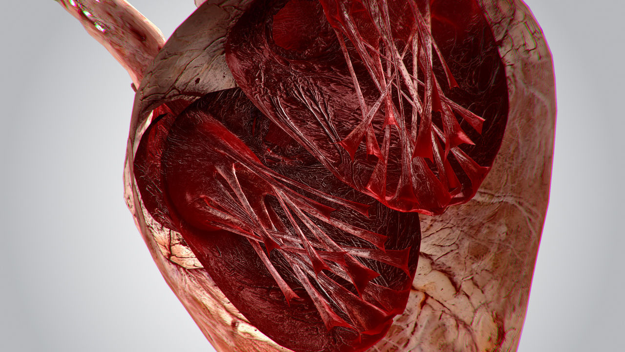 Heart Grungy Rigged Animated PBR Low-poly 3D model_11