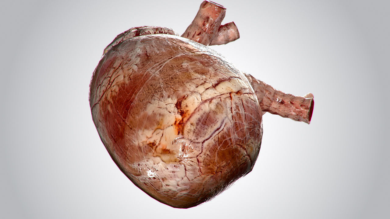 Heart Grungy Rigged Animated PBR Low-poly 3D model_9