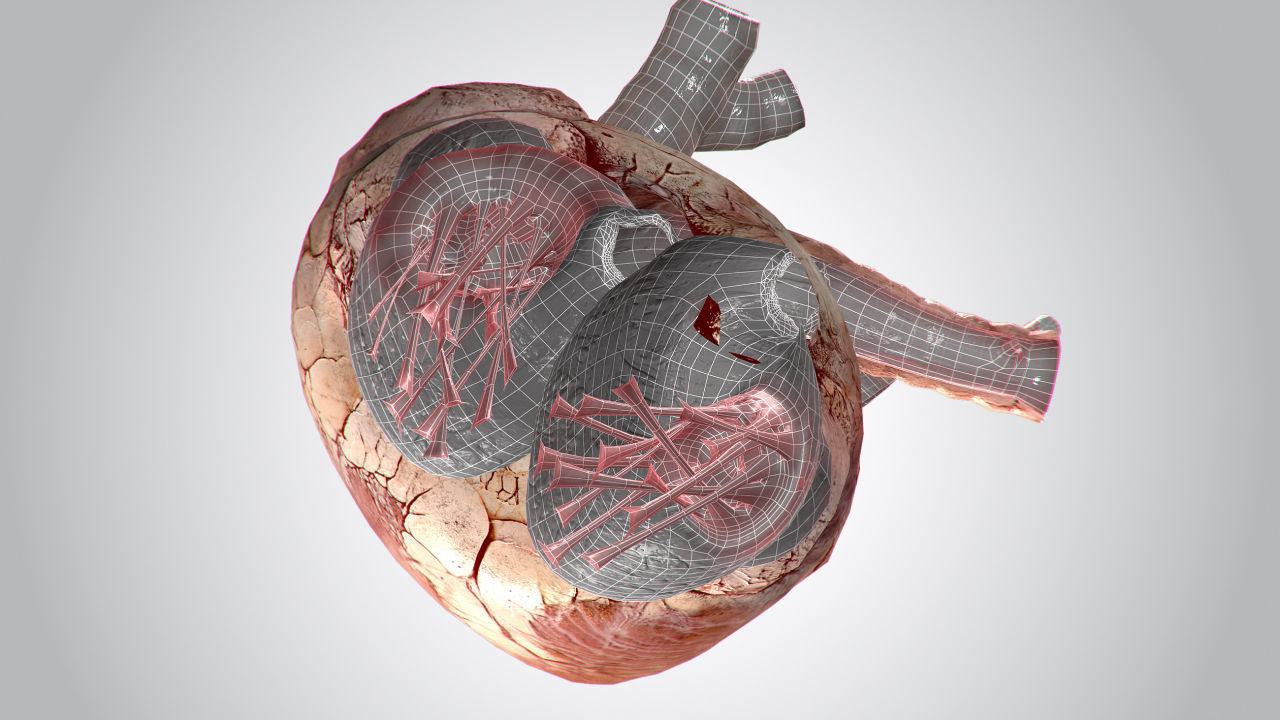 Heart Grungy Rigged Animated PBR Low-poly 3D model_18