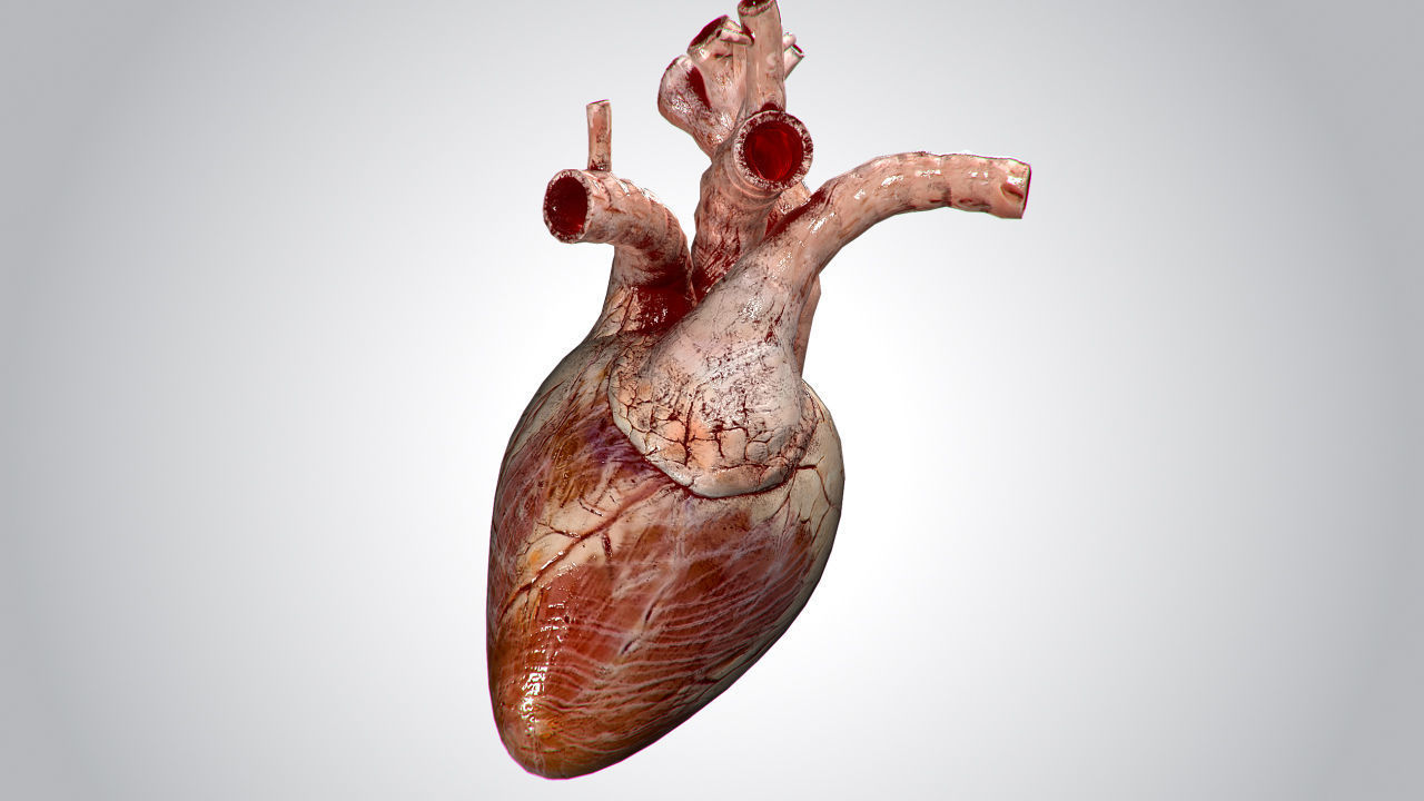 Heart Grungy Rigged Animated PBR Low-poly 3D model_3