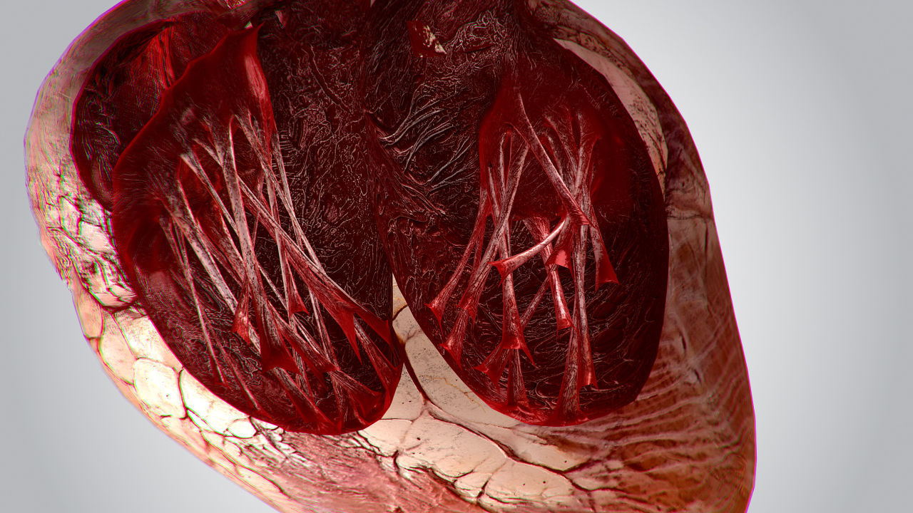 Heart Grungy Rigged Animated PBR Low-poly 3D model_10