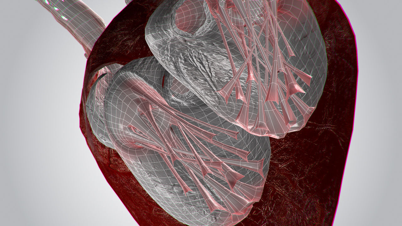 Heart OverBlooded Rigged Animated PBR Low-poly 3D model_17