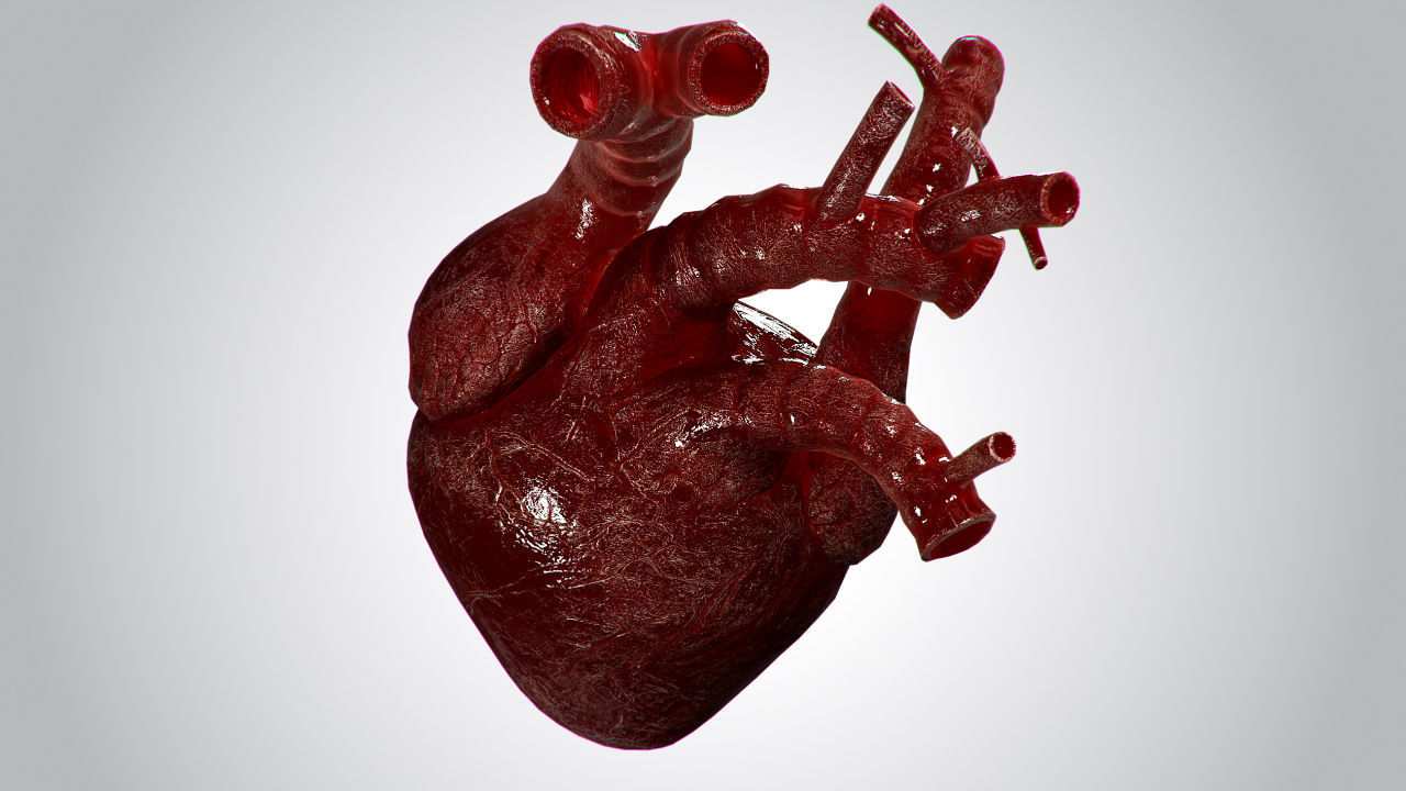 Heart OverBlooded Rigged Animated PBR Low-poly 3D model_7