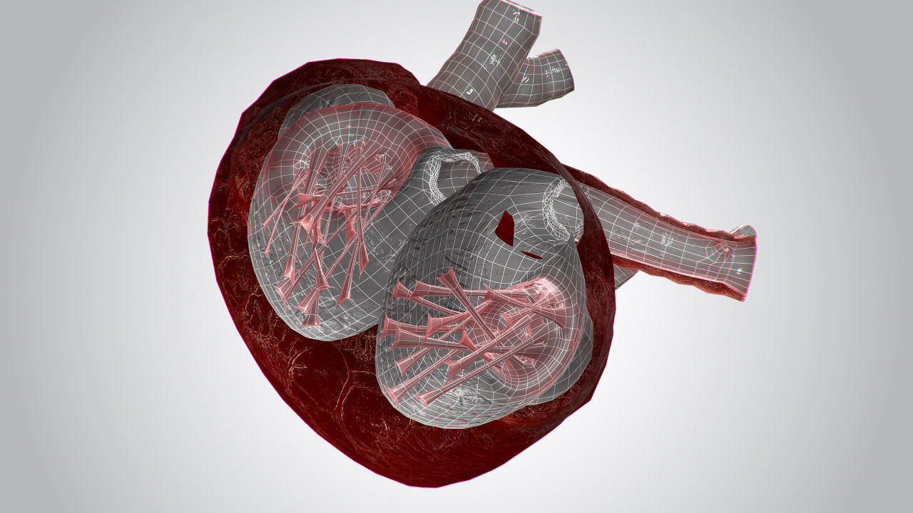 Heart OverBlooded Rigged Animated PBR Low-poly 3D model_19