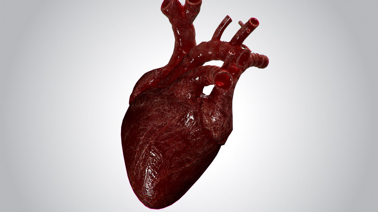Heart OverBlooded Rigged Animated PBR Low-poly 3D model_5