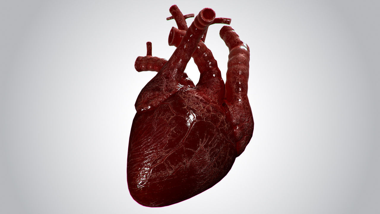 Heart OverBlooded Rigged Animated PBR Low-poly 3D model_6