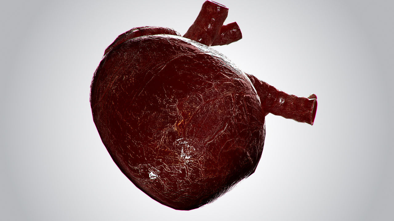 Heart OverBlooded Rigged Animated PBR Low-poly 3D model_8
