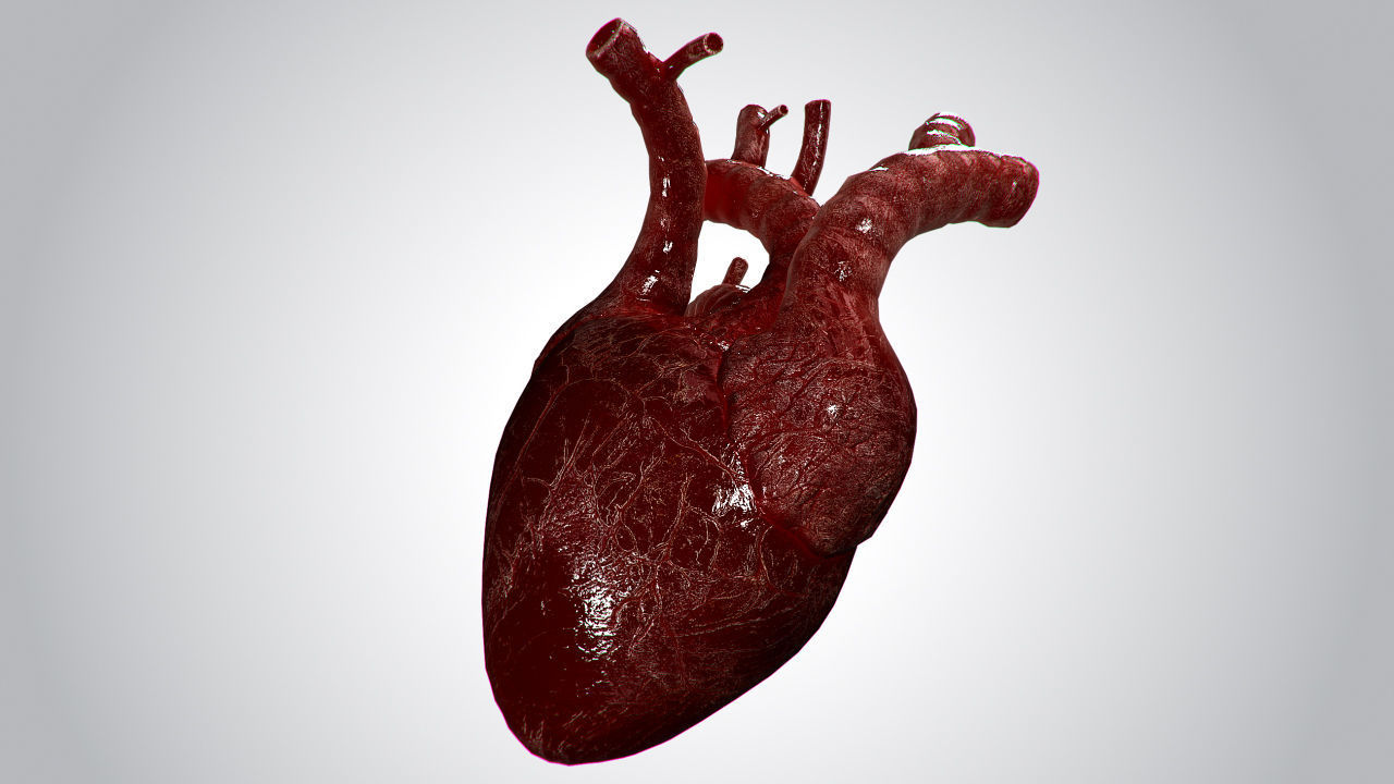 Heart OverBlooded Rigged Animated PBR Low-poly 3D model_2