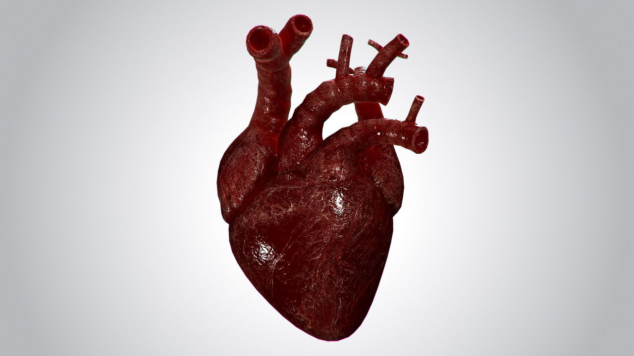 Heart OverBlooded Rigged Animated PBR Low-poly 3D model_4