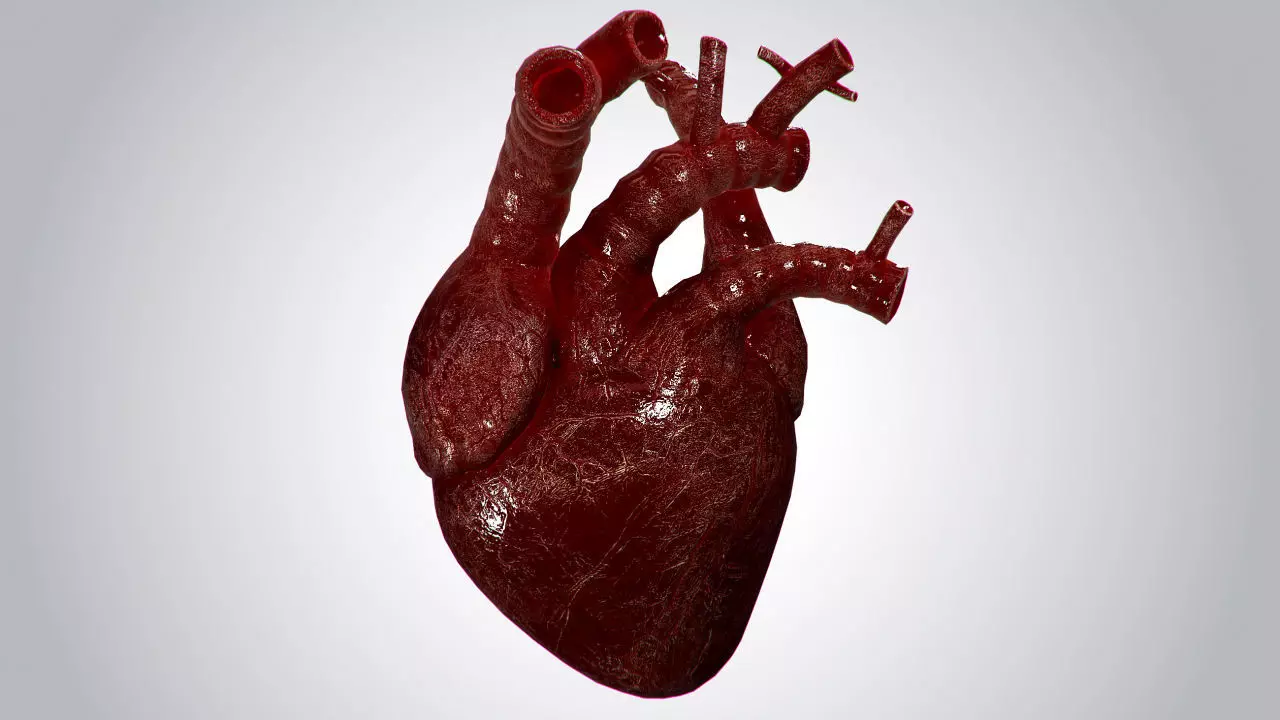 Heart OverBlooded Rigged Animated PBR Low-poly 3D model_0