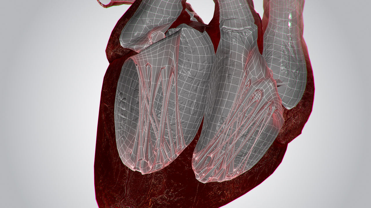 Heart OverBlooded Rigged Animated PBR Low-poly 3D model_18
