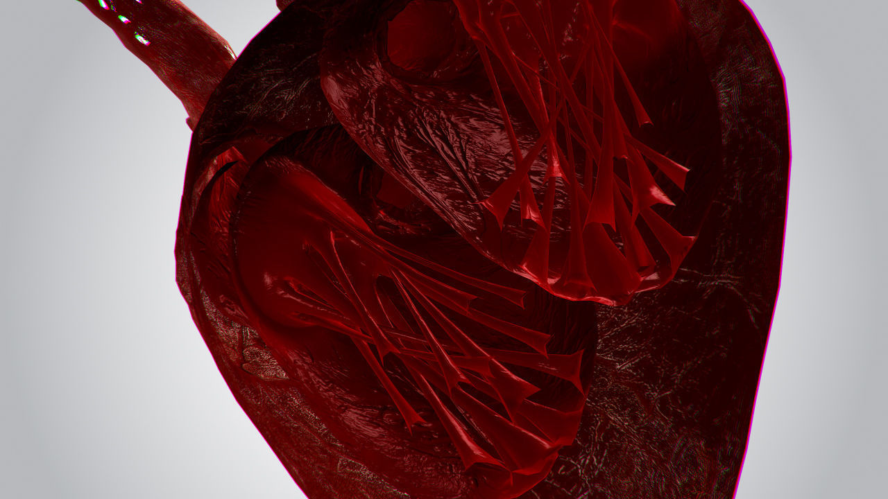 Heart OverBlooded Rigged Animated PBR Low-poly 3D model_11