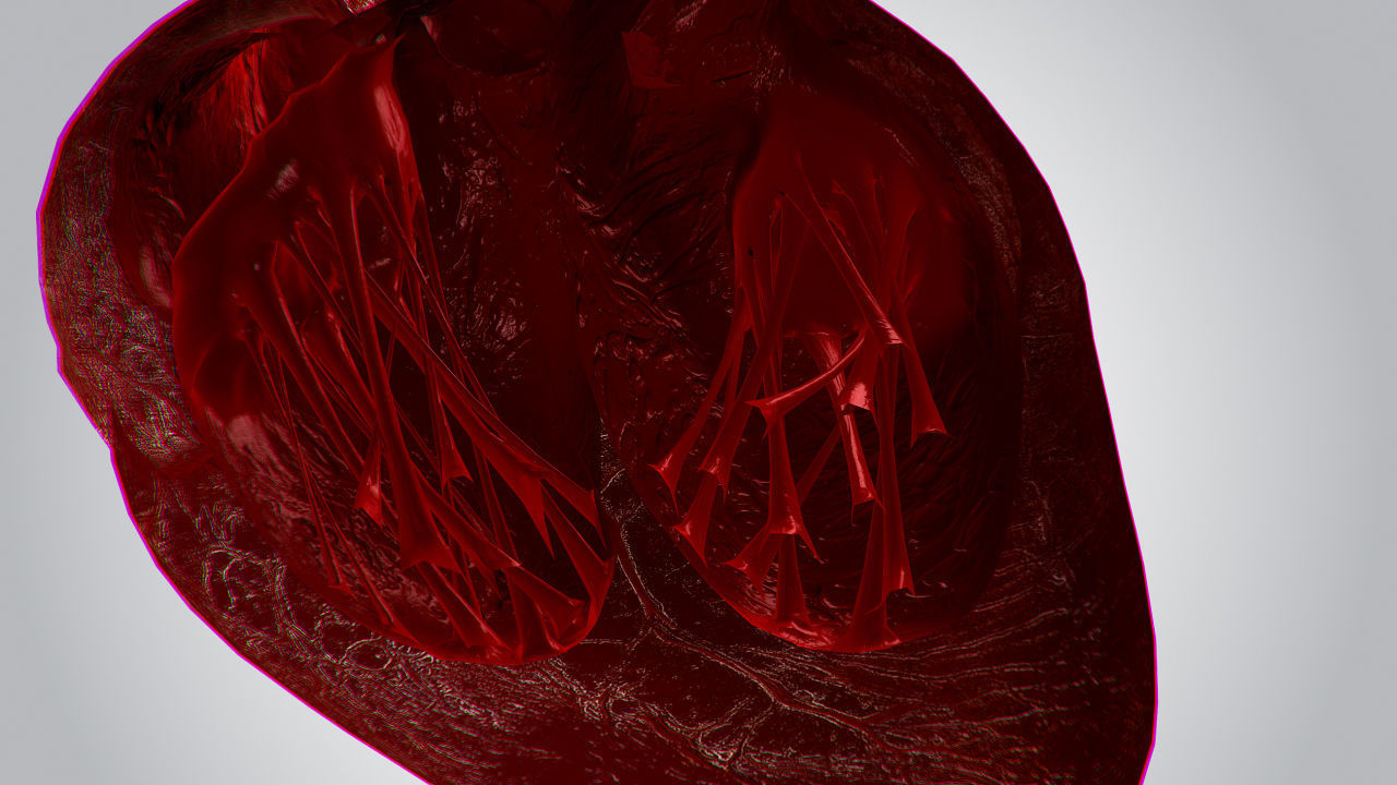 Heart OverBlooded Rigged Animated PBR Low-poly 3D model_10
