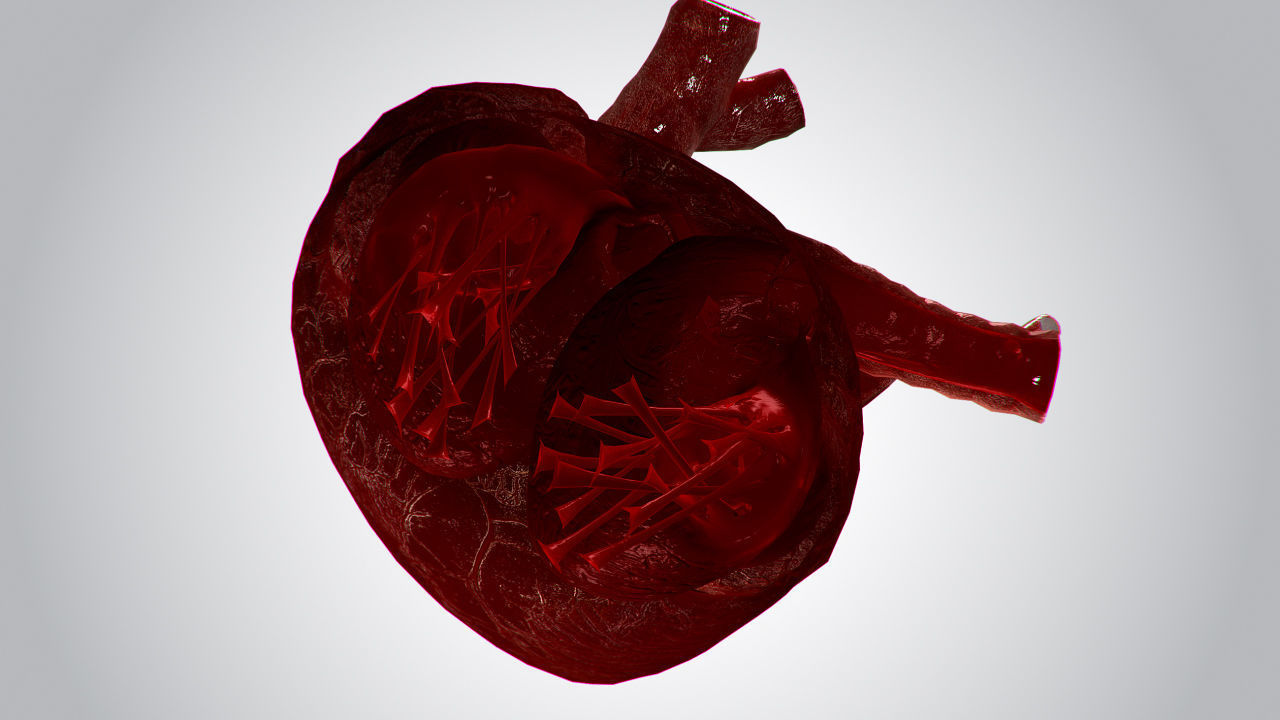 Heart OverBlooded Rigged Animated PBR Low-poly 3D model_12