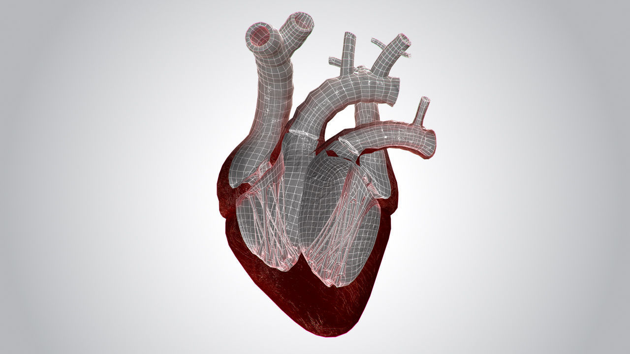 Heart OverBlooded Rigged Animated PBR Low-poly 3D model_14