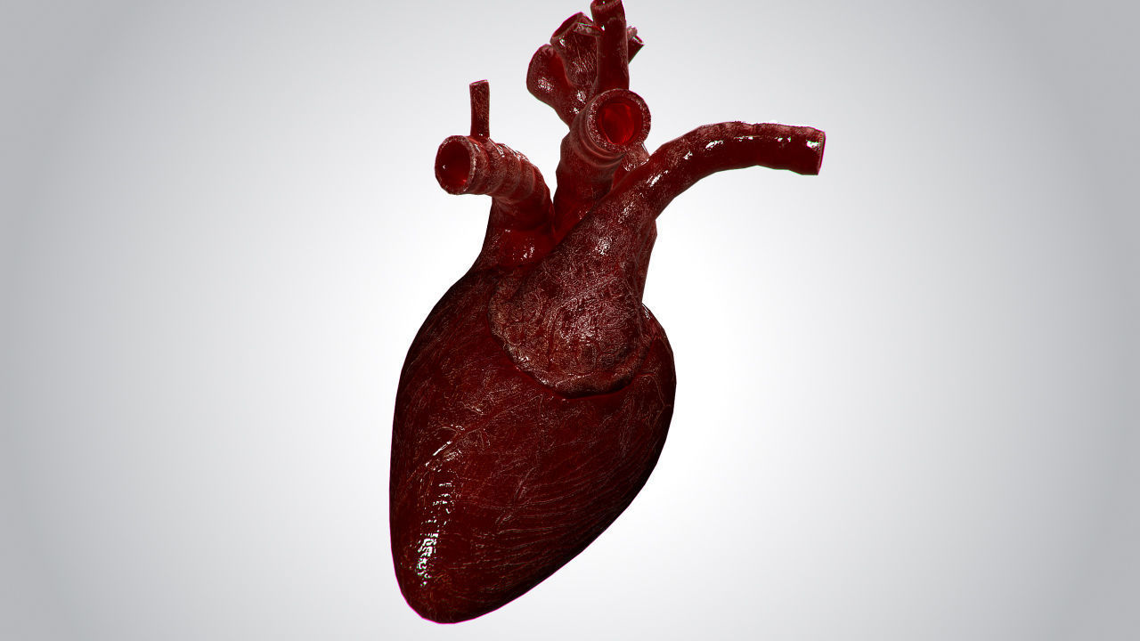 Heart OverBlooded Rigged Animated PBR Low-poly 3D model_3