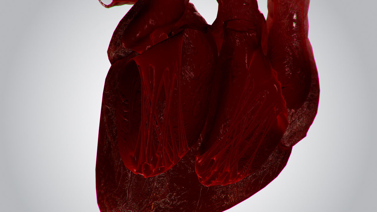 Heart OverBlooded Rigged Animated PBR Low-poly 3D model_13
