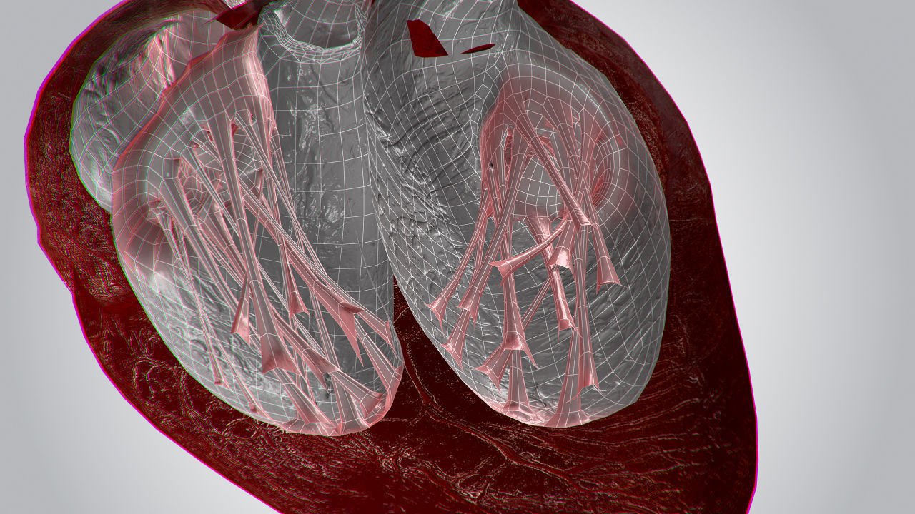 Heart OverBlooded Rigged Animated PBR Low-poly 3D model_16