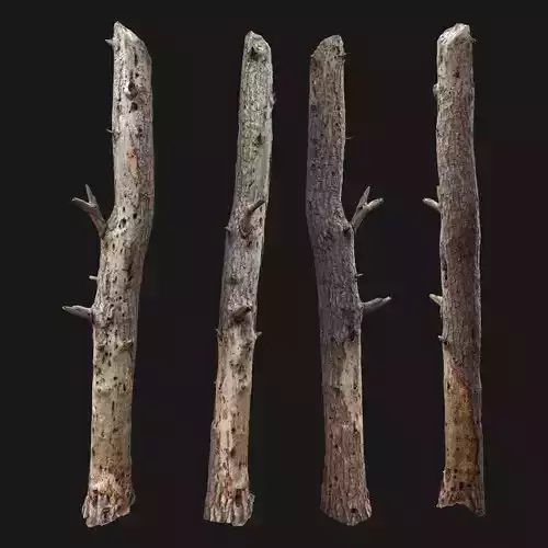Dead tree 3d scan  3D model