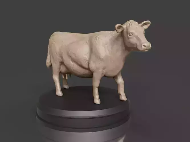 Realistic Cow 