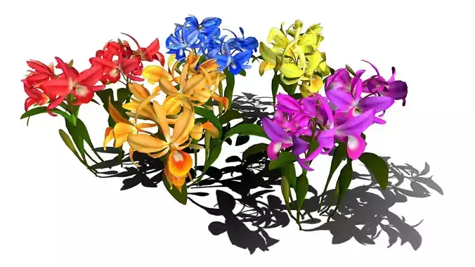 Flower Guarianthe Low-poly 3D model