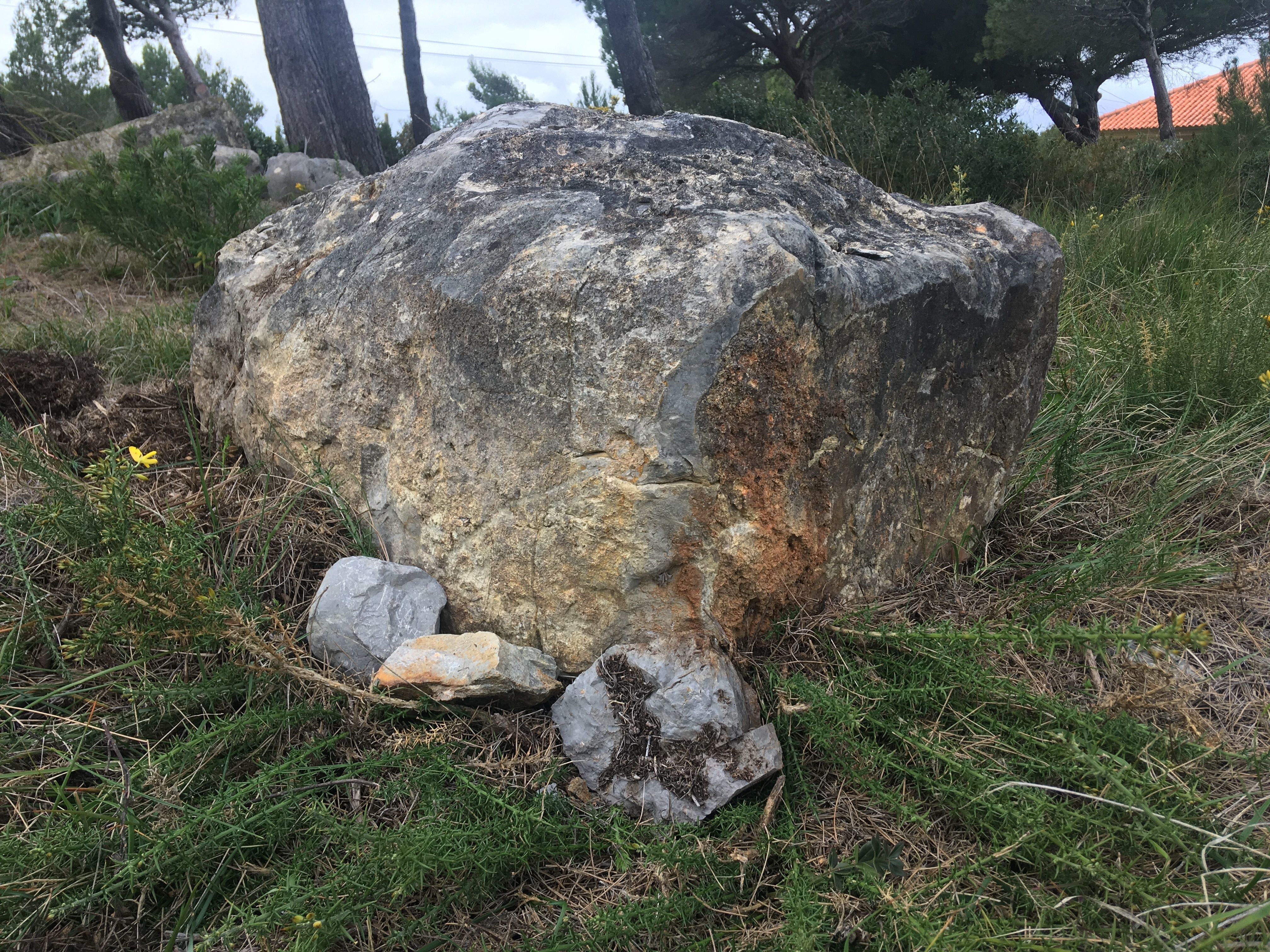 3d scanet rock Low-poly 3D model_1