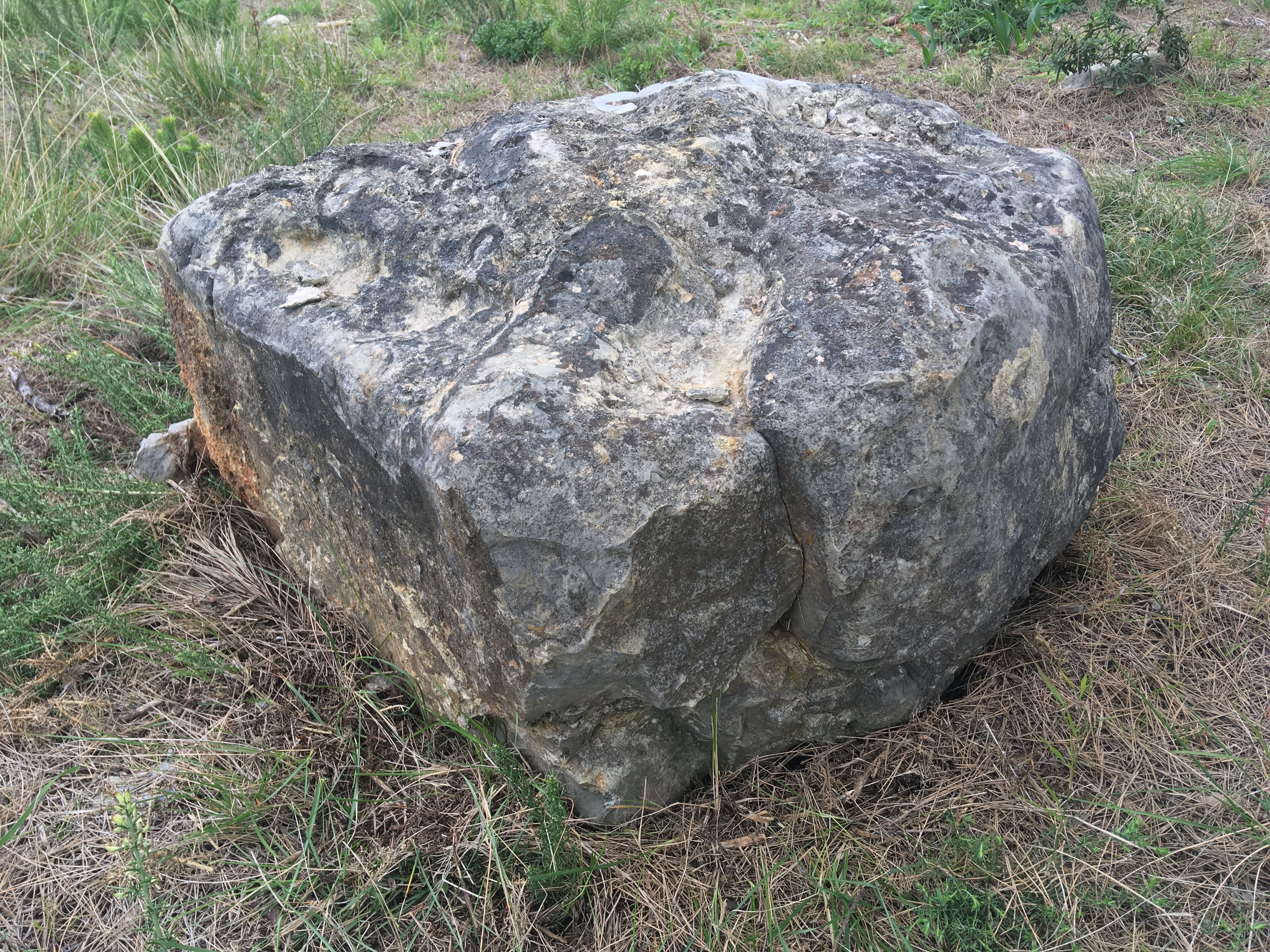 3d scanet rock Low-poly 3D model_8