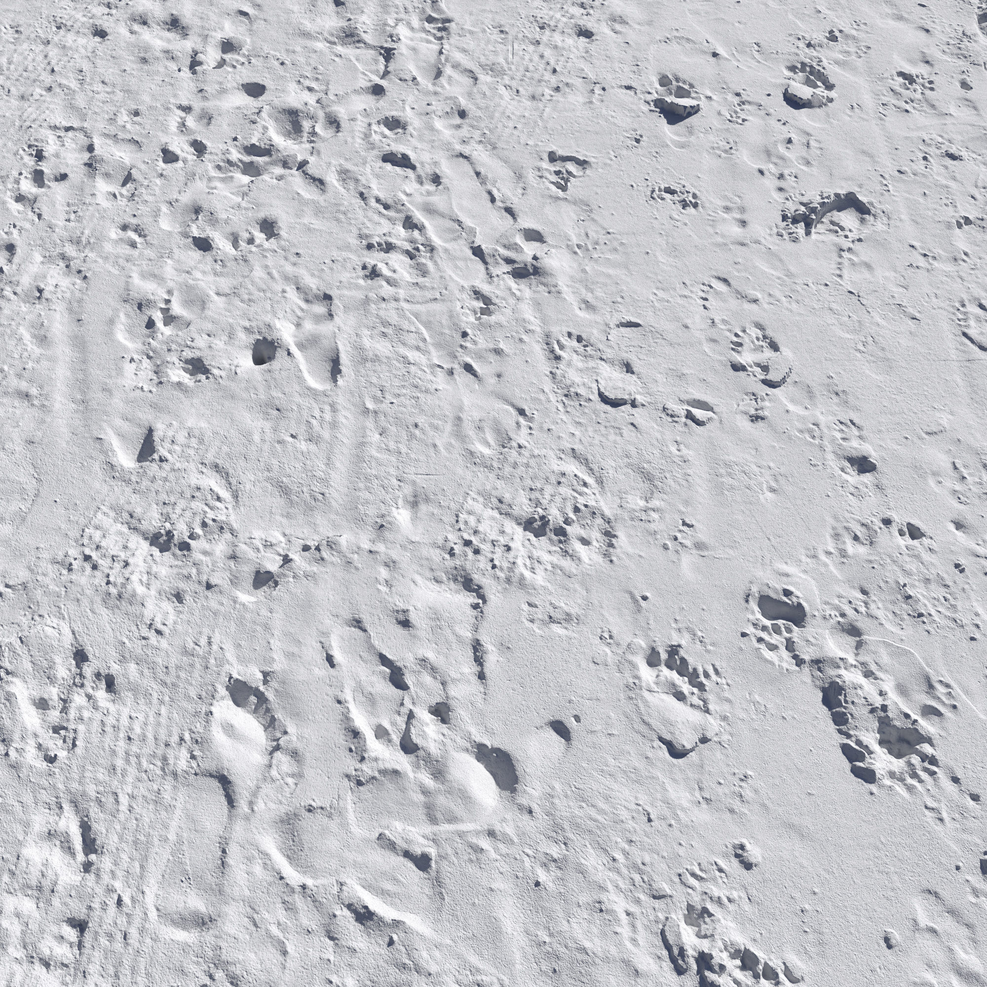 Beach sand Scan 3D model_2