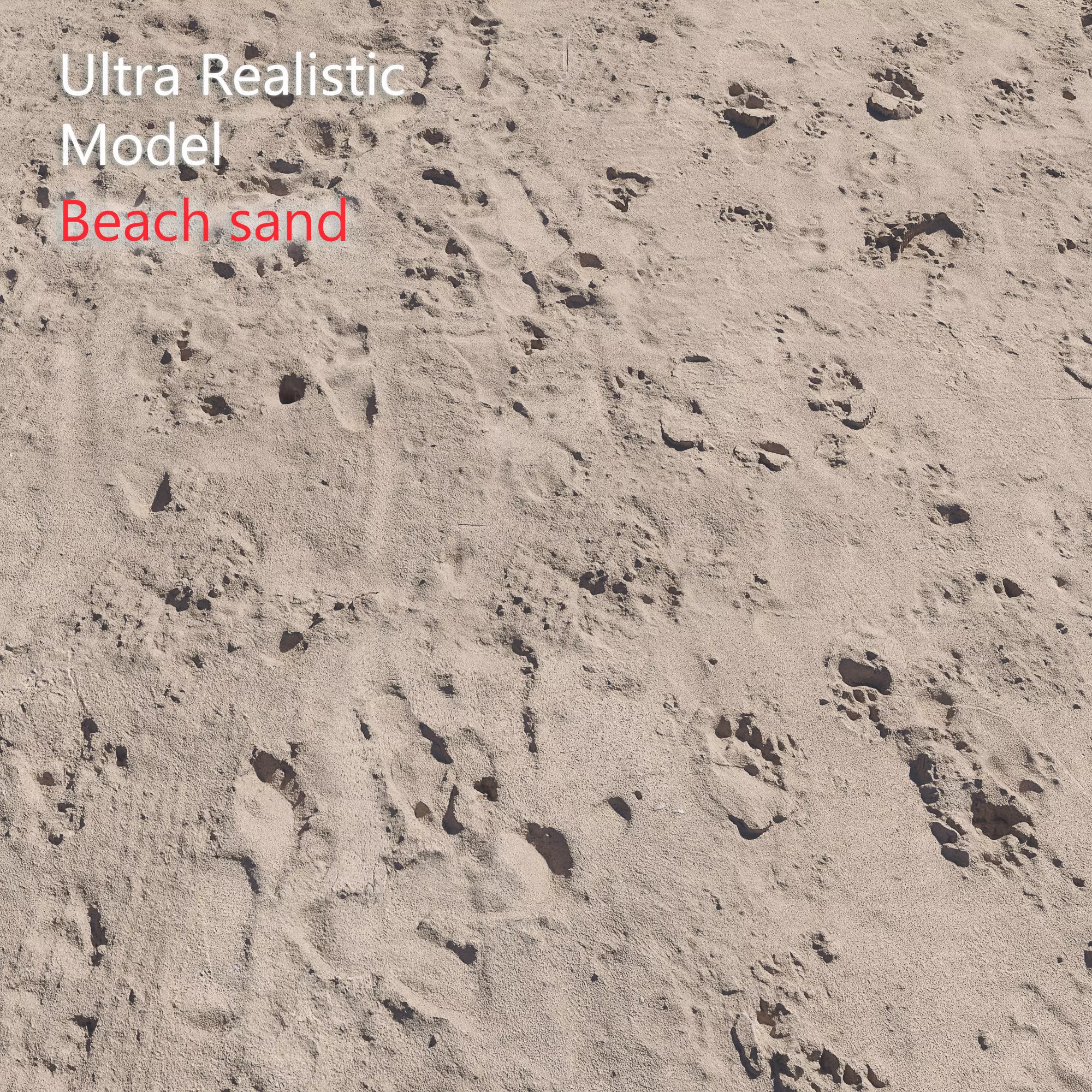 Beach sand Scan 3D model_0