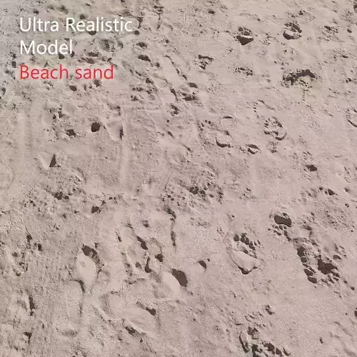 Beach sand Scan 3D model