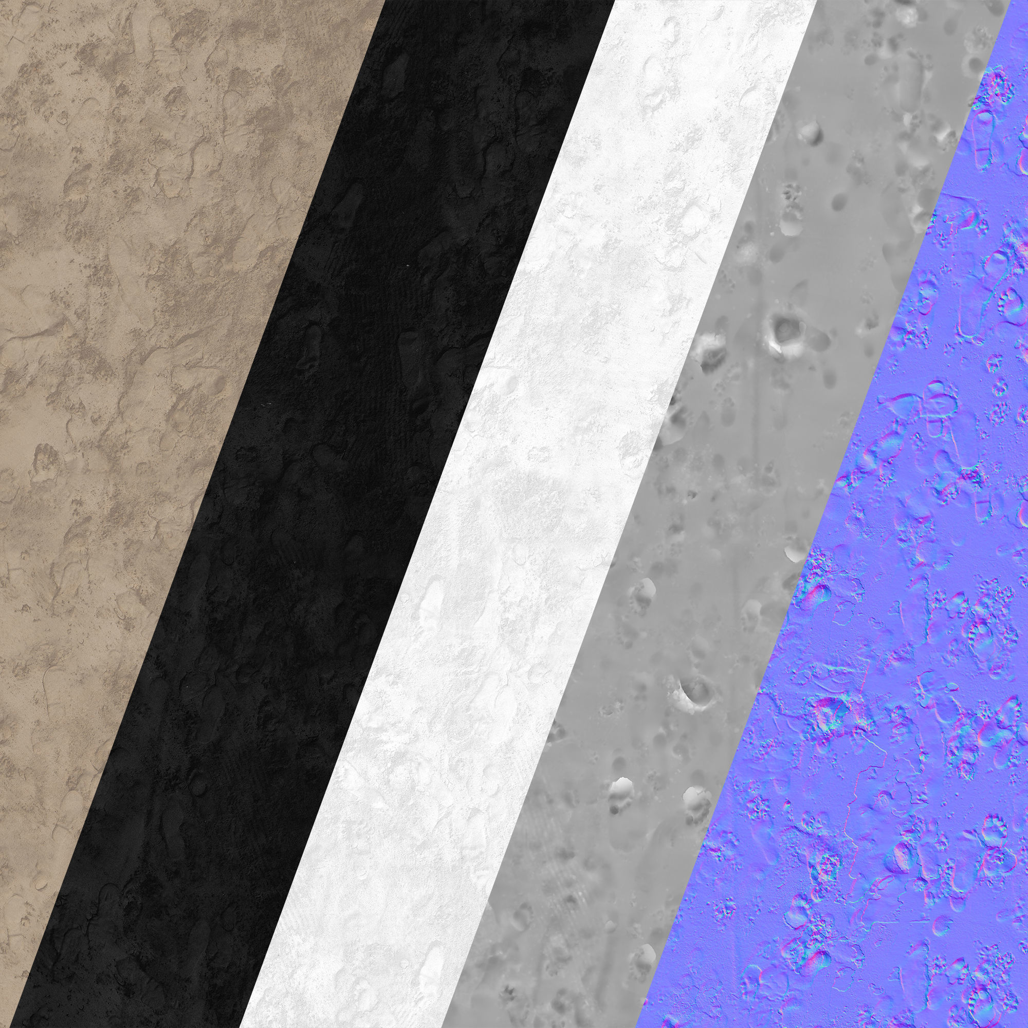 Beach sand Scan 3D model_8