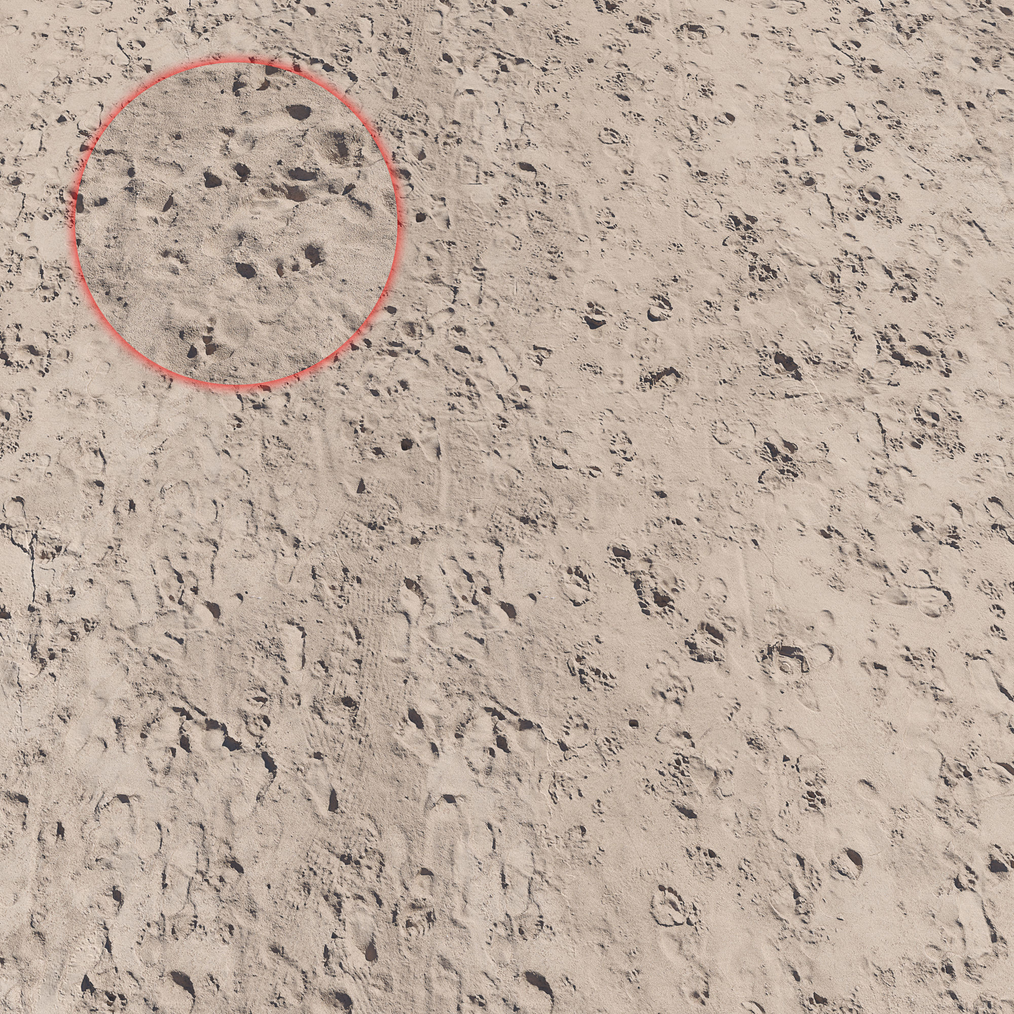 Beach sand Scan 3D model_1