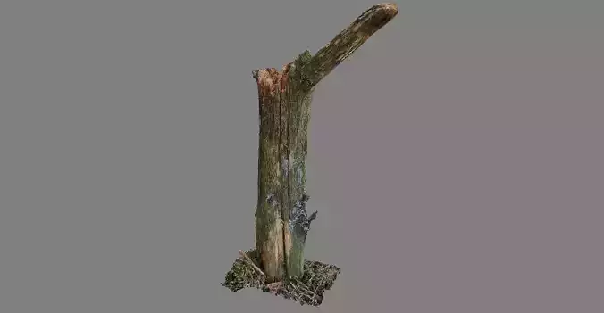Stick  - photogrammetry Free 3D model